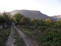 PICT0059