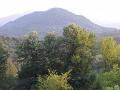 PICT0091