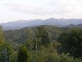 PICT0092