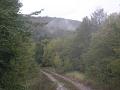 PICT0278